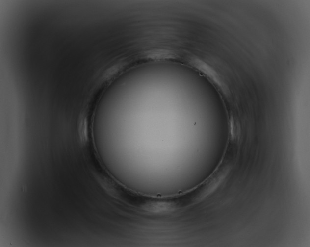 X0000100410205200806061348