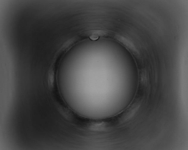 X0000100410206200806061348