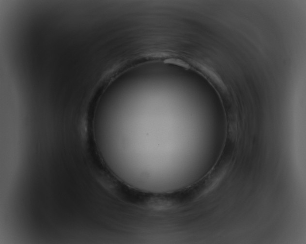 X0000100410207200806061348