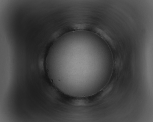 X0000100410209200806061348