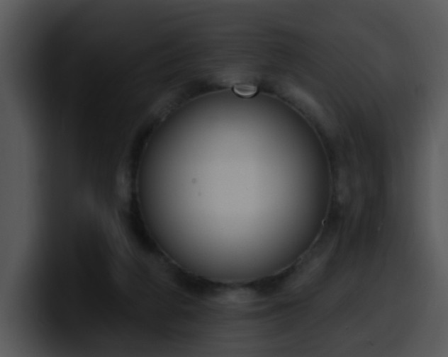 X0000100410210200806061348