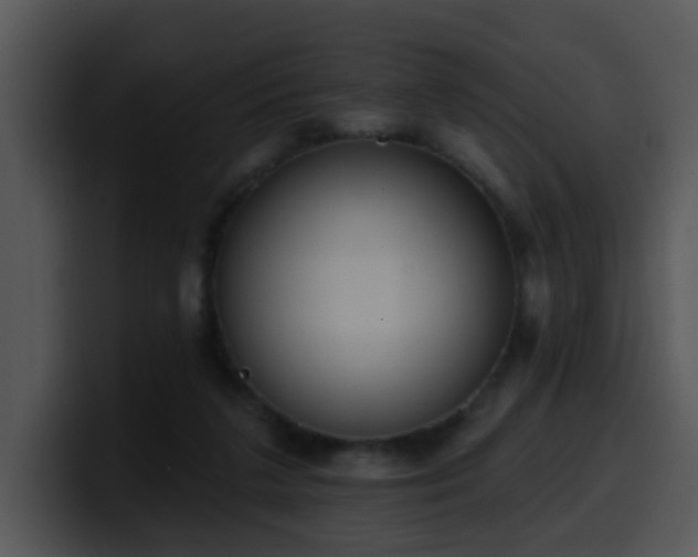 X0000100410211200806061348