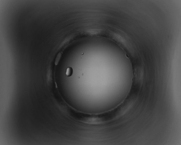 X0000100410212200806061348