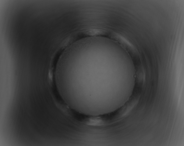 X0000100410214200806061348