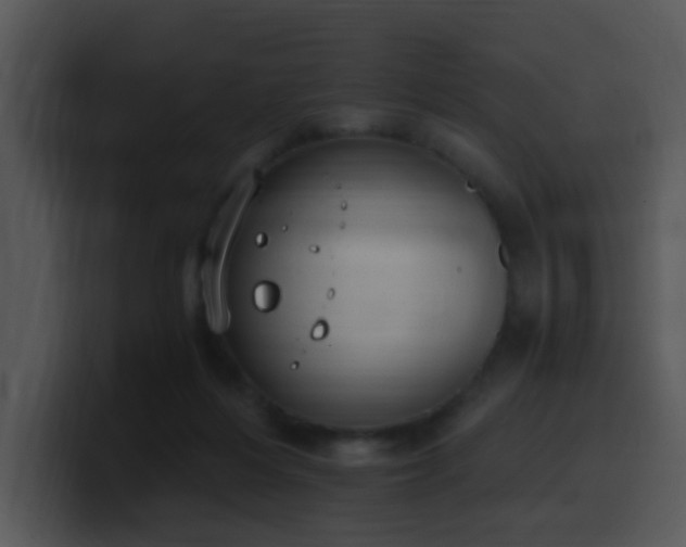 X0000100410216200806061348