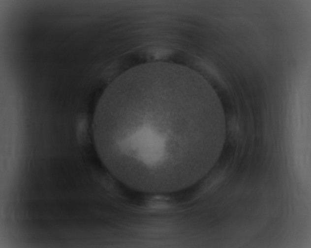 X0000100410222200806061348