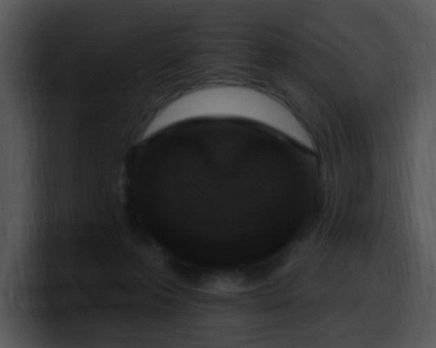 X0000100410223200806061348