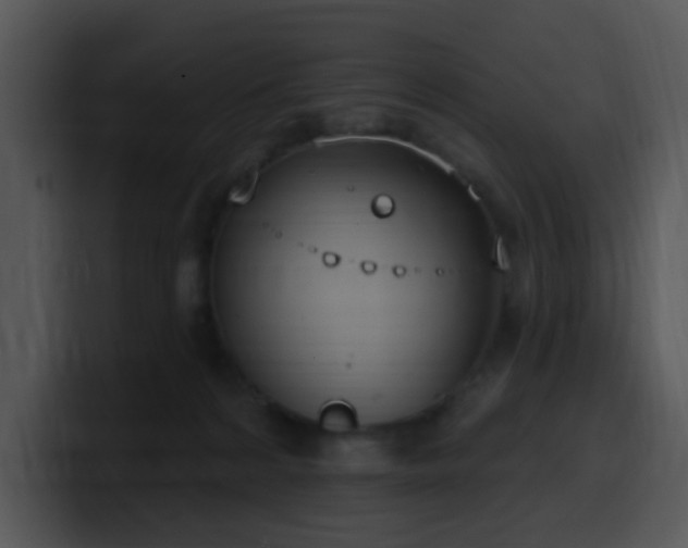 X0000100410224200806061348