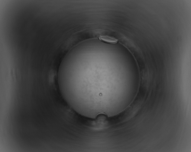 X0000100410225200806061348