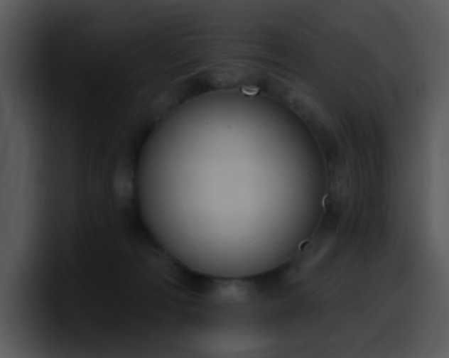 X0000100410226200806061348