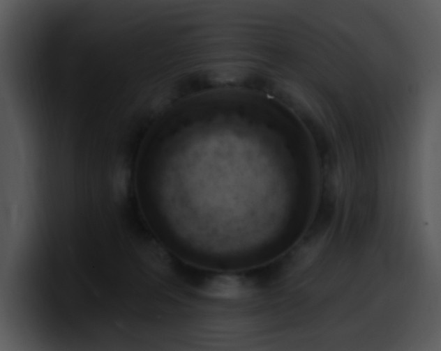 X0000100410227200806061348