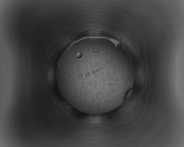 X0000100410228200806061348