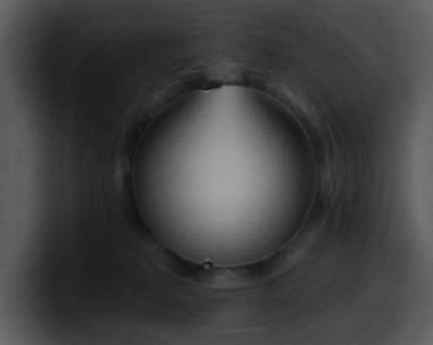 X0000100410229200806061348