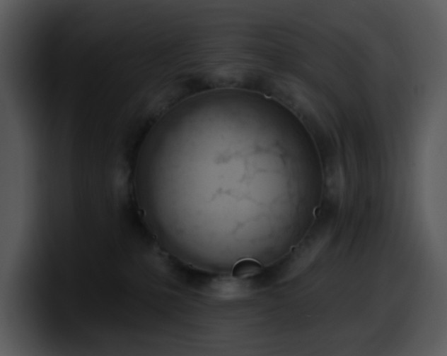 X0000100410231200806061348