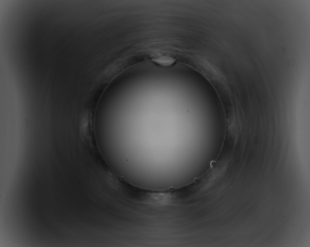 X0000100410233200806061348