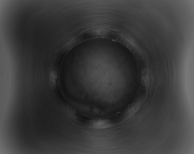 X0000100410235200806061348