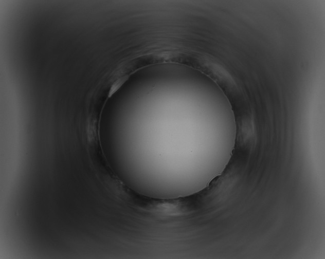 X0000100410236200806061348