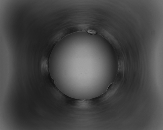 X0000100410238200806061348