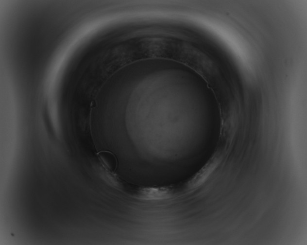 X0000100410239200806061348