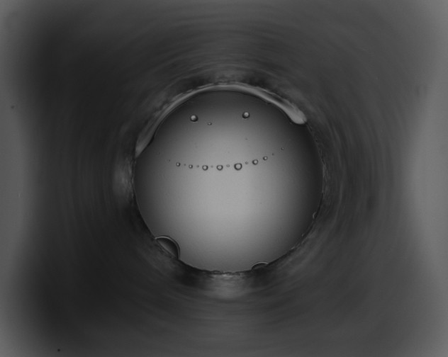 X0000100410240200806061348