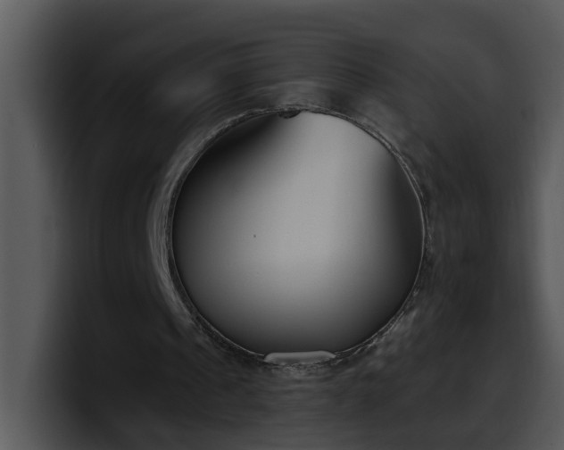 X0000100410241200806061347