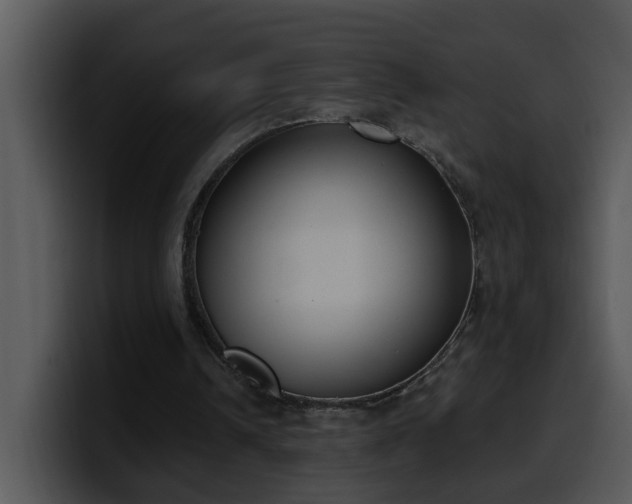 X0000100410242200806061347