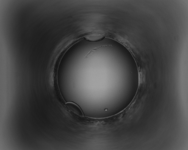 X0000100410243200806061347