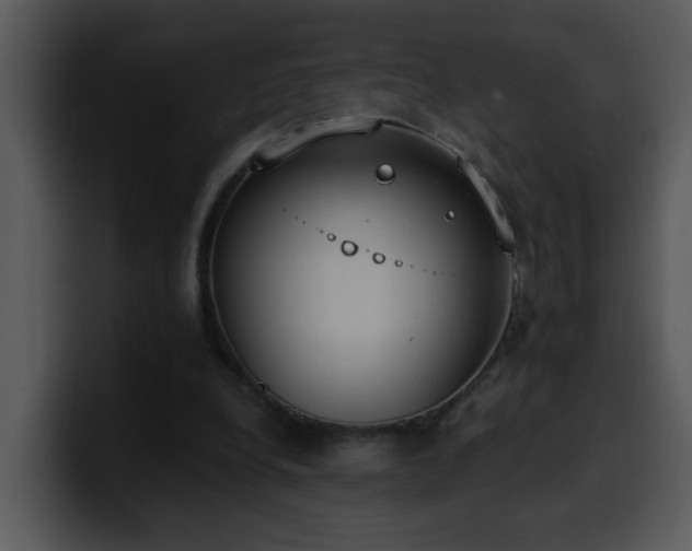 X0000100410248200806061347