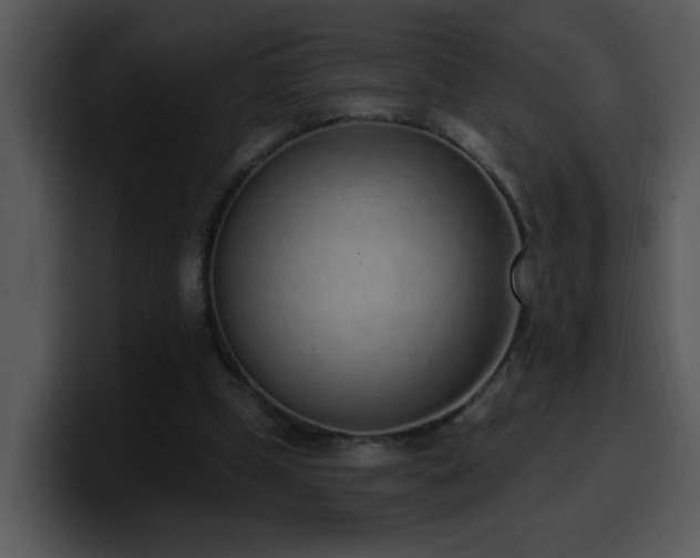 X0000100410249200806061347