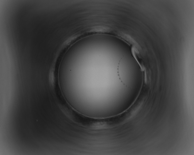 X0000100410252200806061348