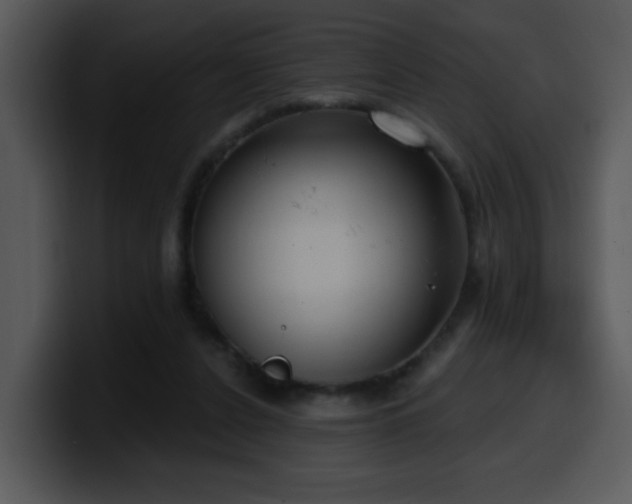 X0000100410256200806061348