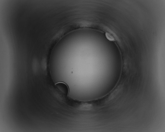 X0000100410257200806061348