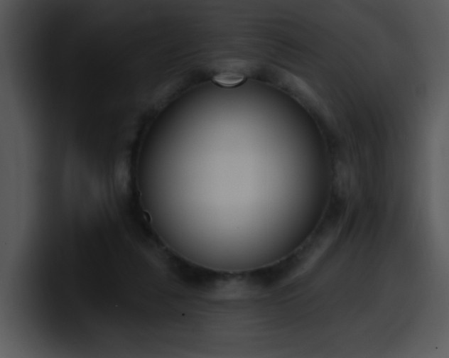 X0000100410259200806061348