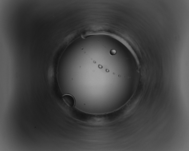 X0000100410260200806061348