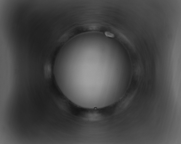 X0000100410262200806061348