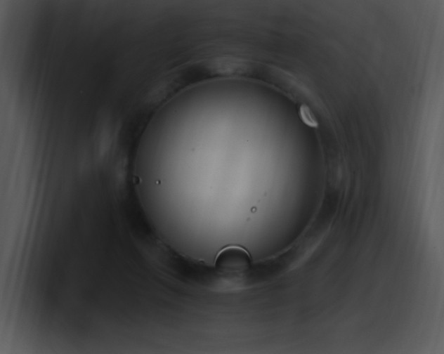 X0000100410263200806061348