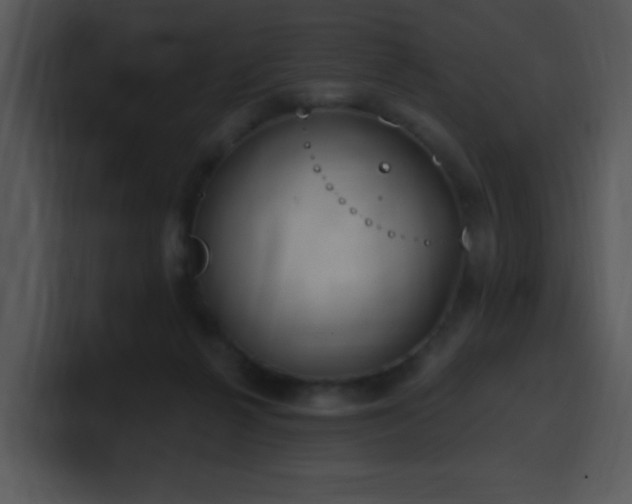 X0000100410264200806061348