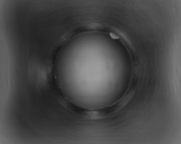 X0000100410265200806061348