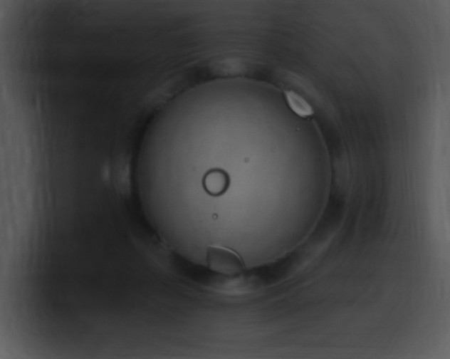 X0000100410267200806061348