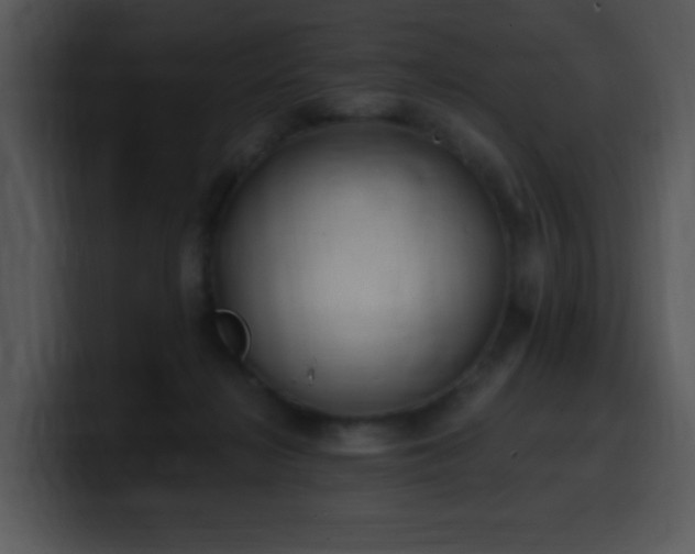 X0000100410268200806061348