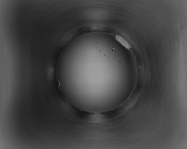 X0000100410269200806061348