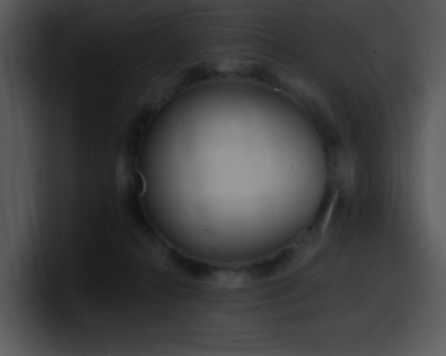 X0000100410272200806061348