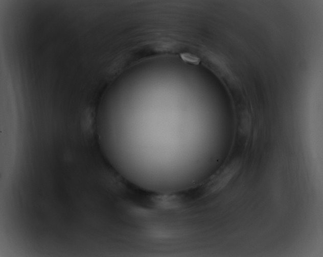 X0000100410273200806061348