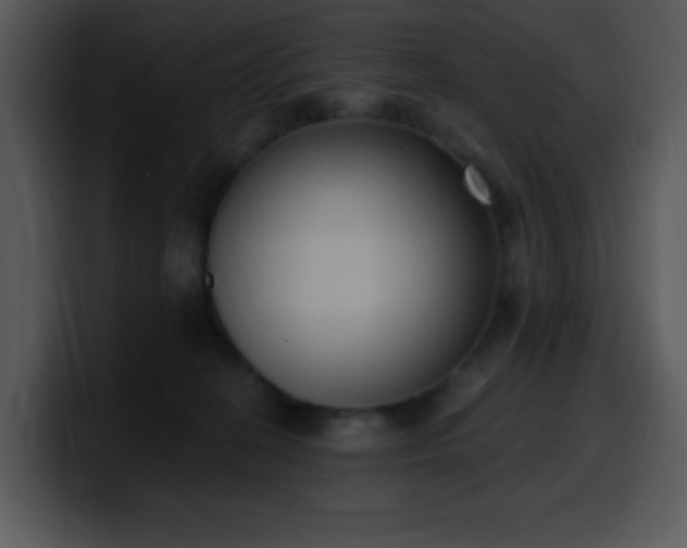 X0000100410274200806061348