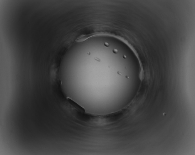 X0000100410276200806061348