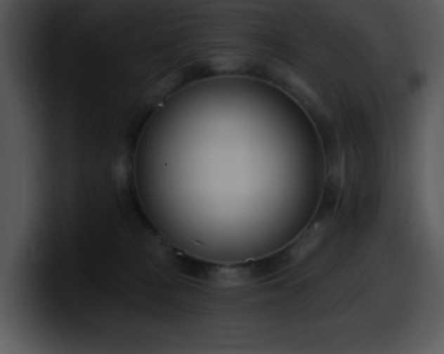 X0000100410277200806061348