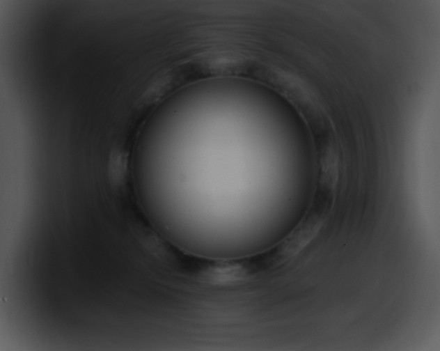 X0000100410278200806061348