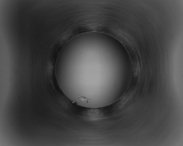 X0000100410279200806061348