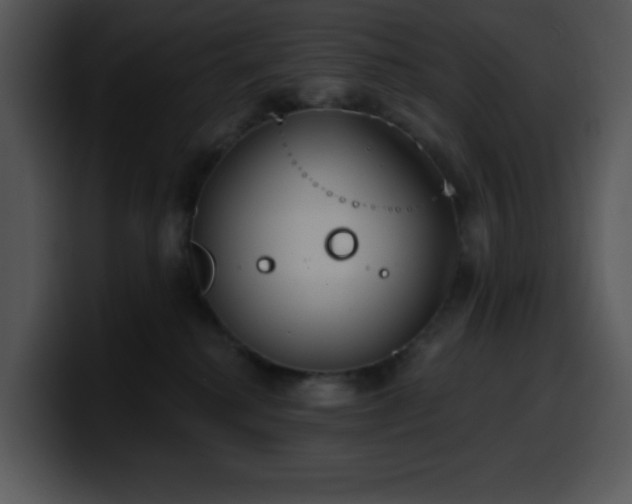 X0000100410280200806061348