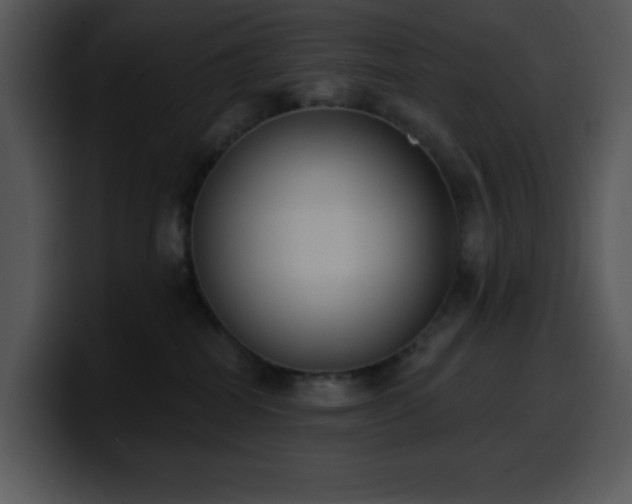 X0000100410282200806061348